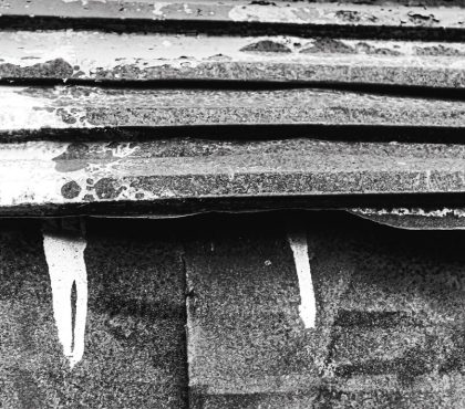 Black and white photo of a roof showcasing nails embedded in wooden shingles